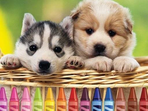 4gameground-puppy-coloring