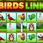 Birds Link