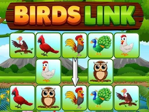 birds-link