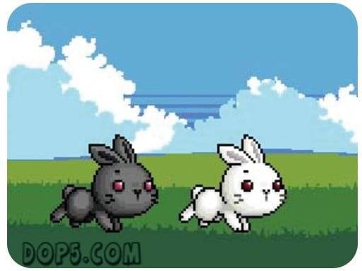 bu-bunny-two-rabbit