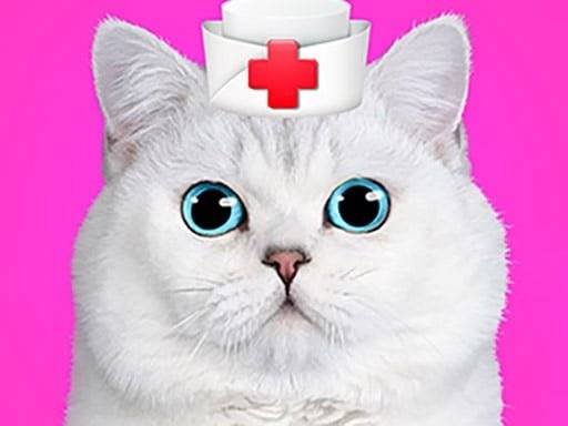 cat-pet-doctor-dentist