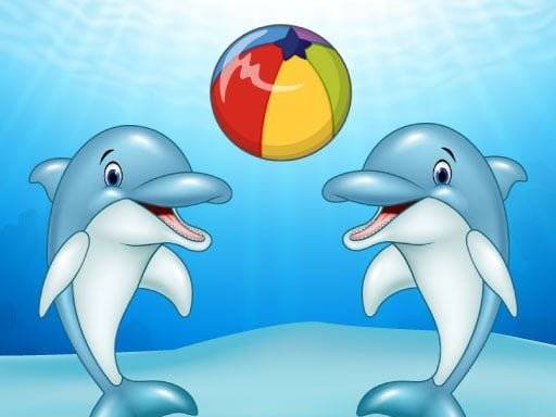 dolphin-show