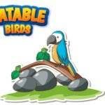 Eatable Birds