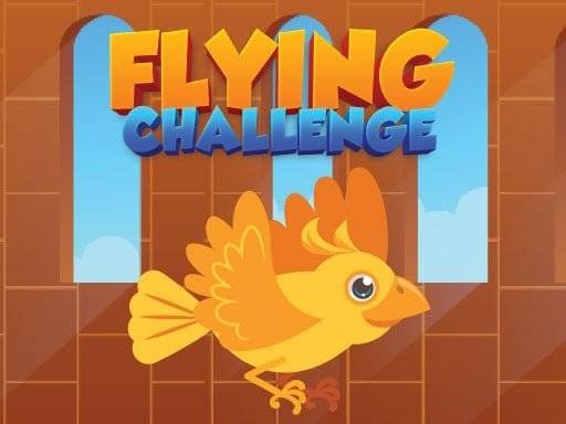 flying-challenge