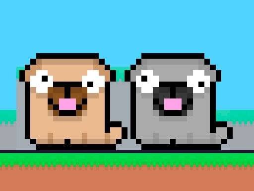 friends-pug