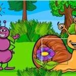 Insect Pic Puzzles