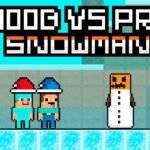 Noob vs Pro Snowman