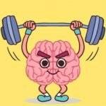 Perfect Brain 3D Puzzle