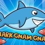 Shark Gnam Gnam