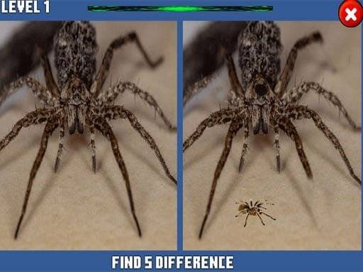 spider-hidden-difference