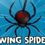 Swing Spider