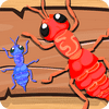 ants