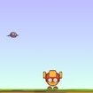 birds-flying