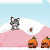 cat-runner