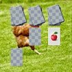 chicken-memory-match