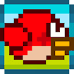 chubby-birds