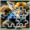 cute-puppies-photo-frenzy-sliding-game