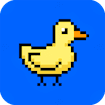 duck-run