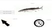 fish-clicker