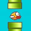 flap-quest-2025