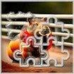 guinea-pig-jigsaw-block-puzzle