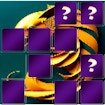 hippocampus-memory-match