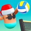 volley-boys